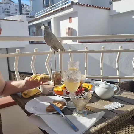 Oasis Diamente - Heated Pool *